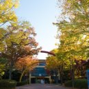 국립중앙청소년수련원 이미지