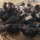 청계3로 이미지