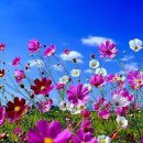 아름다운 사람들 이미지