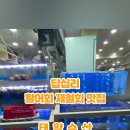 태양수산활어회
