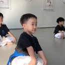 용인대태권마루태권도장