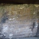 함안 용산리 함안층 새발자국화석 산지 | 희귀한 함안화석