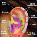 셀프피어싱 이미지