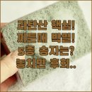 초원세탁 | 과탄산소다 분말형 워터형 5종 인기 제품 비교 분석 찌든 때 냄새 제거 사용 후기