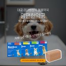 맘편한약국 이미지