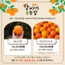 양씨네농장