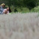 함평공설운동장 이미지