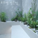 모프엠 이미지
