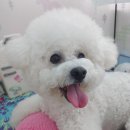 부산 강서구 명지동 나래 직업 훈련 아카데미 cctv 설치를 마치고...