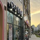 모델안경콘텍트(서구점) | 시력검사부터 선글라스까지! 대전 유성구 안경온 리뷰