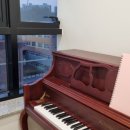 이지수 음악학원 이미지