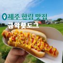 금악핫도그 | 제주 한림 맛집 금악핫도그 내돈내산 후기