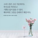 헤세드 - 120035 | 헤세드