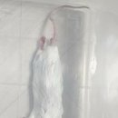 마렛트 네이버블로그