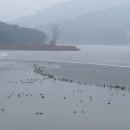 레이크빈스 이미지