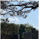 작은숲 펜션 이미지