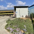 정수축산 이미지