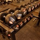 머슬핫바디 이미지