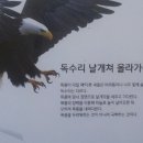 날개 이미지