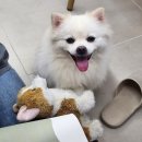 GS25 여주하리점 | 안산 고잔동 네일아트 잘하는 네일하리 강력 추천