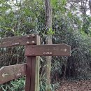 삼정약수터 이미지