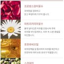더파팩트 이미지