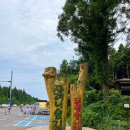 남조로 사려니숲길입구 이미지