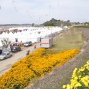 강경농산물 이미지