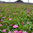 순익농장 이미지