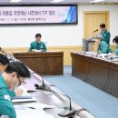 자연T