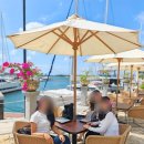 (주)거북 | 갭이어 발리 해외봉사 후기 1편, 바다거북 보호 &amp; 홈스테이 정보