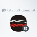 알쓰리게러지 네이버블로그