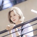 배이