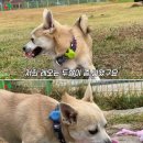 임실군청(농업축산과) 네이버블로그