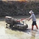 정다운마을 이미지