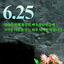 흥룡초교 Daum카페