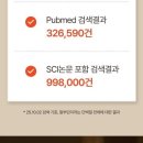 이선 카카오 검색결과