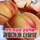 더달당과일