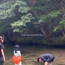 장성농원 | 장성 남창계곡 , 남창골퍼스트농원 평상대여 만족 후기