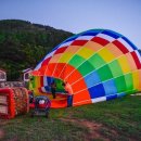 비체올린 이미지