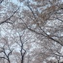 송파나루(놀이마당) 화장실 네이버블로그