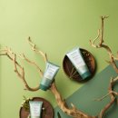 케어라인주식회사 이미지