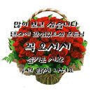 11월 20일 셋째 수요일 댄스방 모임 이미지