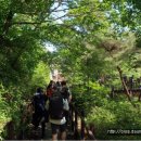 칠보산숲길 이미지