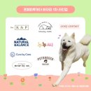 니어바이닥터 이미지