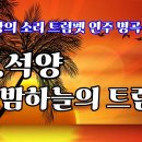 석양(夕陽)트럼펫연주//김인배.밤하늘의 트럼펫(Il Silenzio)//니니 로소 (Nini Rosso) 이미지