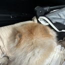 동반상사 이미지