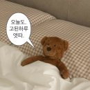 뚜레쥬르 거제아주덕산점 | 250728~250803 일상기록 | 벌써 8월..!