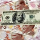 Emerging markets buffeted by bipolar world-로이터 2/4 : Analysis, FRB 양적완화 축소 지속 유동성 감소 신흥국 금융,자본시장 전망 이미지