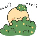 베비아모 이미지